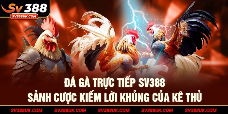Đá Gà Trực Tiếp SV388– Sảnh Cược Kiếm Lời Khủng Của Kê Thủ