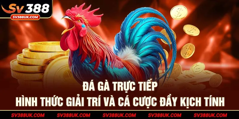 Đá gà trực tiếp - Hình thức giải trí và cá cược đầy kịch tính