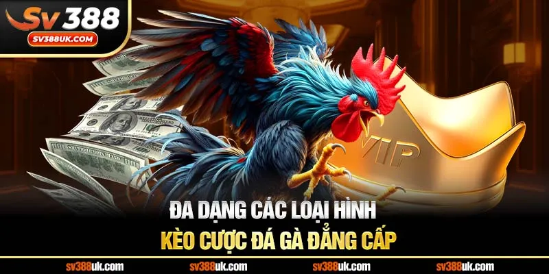 Đa dạng các loại hình kèo cược đá gà đẳng cấp