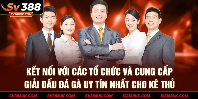 Kết nối với các tổ chức và cung cấp giải đấu đá gà uy tín nhất cho kê thủ