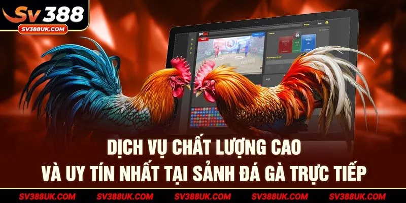 Dịch vụ chất lượng cao và uy tín nhất tại sảnh đá gà trực tiếp