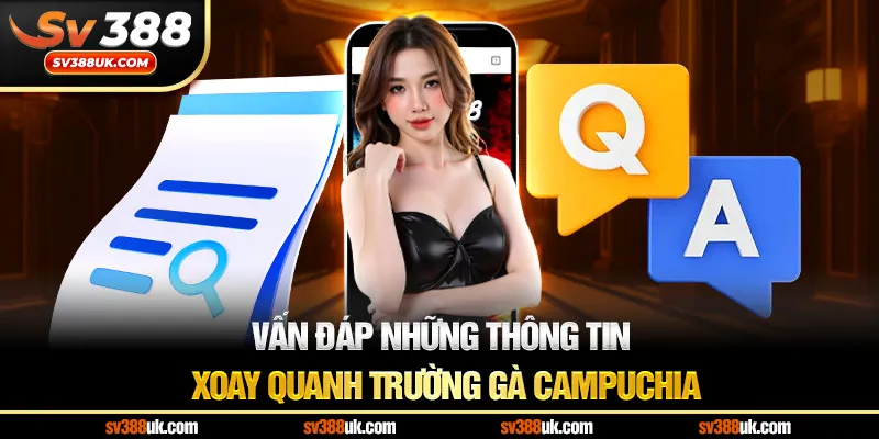 Vấn đáp những thông tin xoay quanh trường gà Campuchia